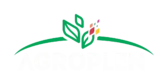 Logo da Agroplen contendo o nome da empresa e 3 folhas estilizadas